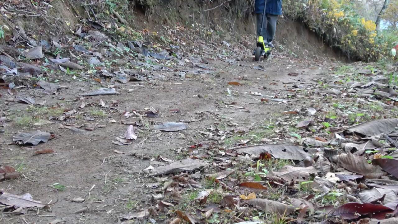 動画のプレビュー